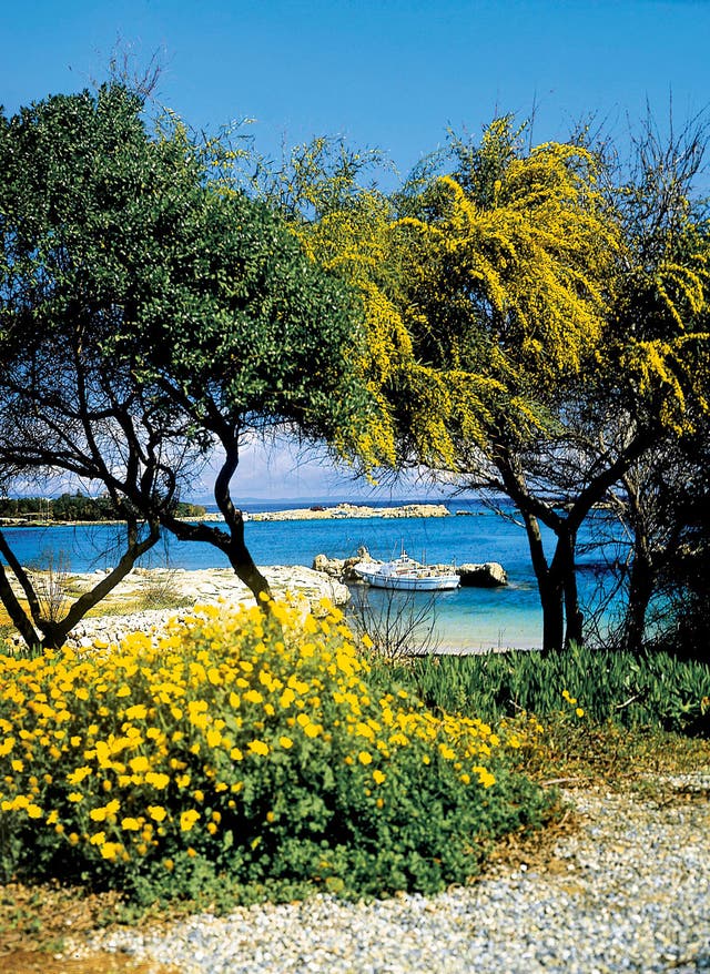 Hotel auf Zypern buchen  Küste in Zypern