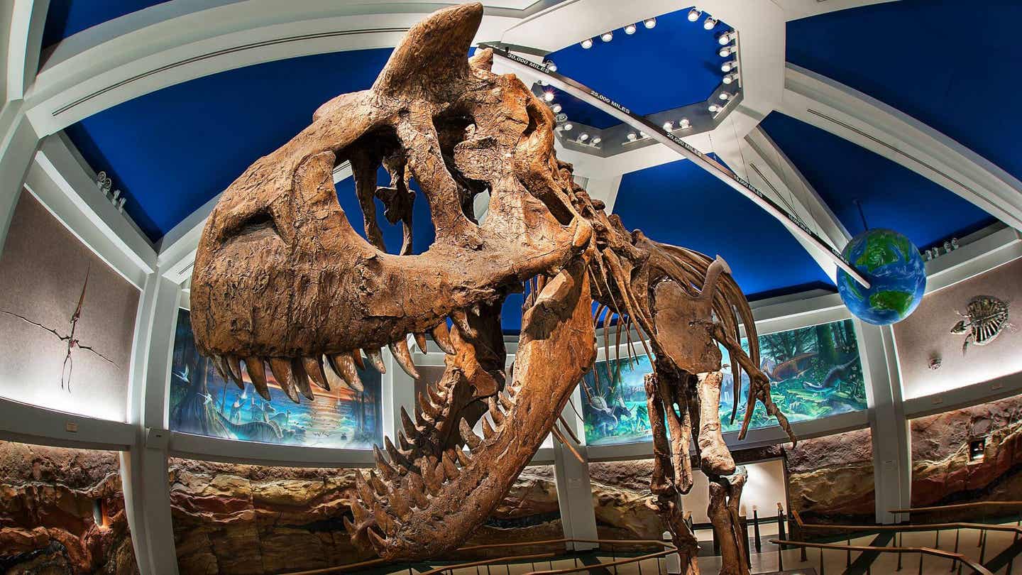 Eine Reise in die Zeit der Dinosaurier