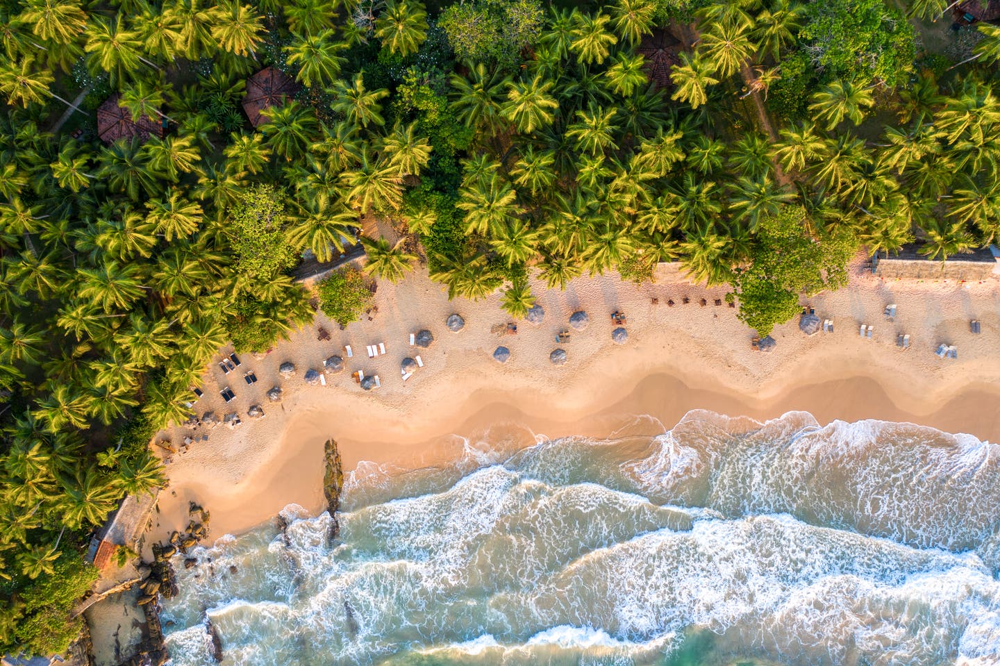 Tropischer Strand in Sri Lanka mit Palmen, Liegestühlen und Wellen – eine atemberaubende Sri-Lanka-Sehenswürdigkeit