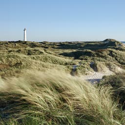 daenemark-nordseekueste-mit-duenen-g-625803700_bearbeitet.jpg