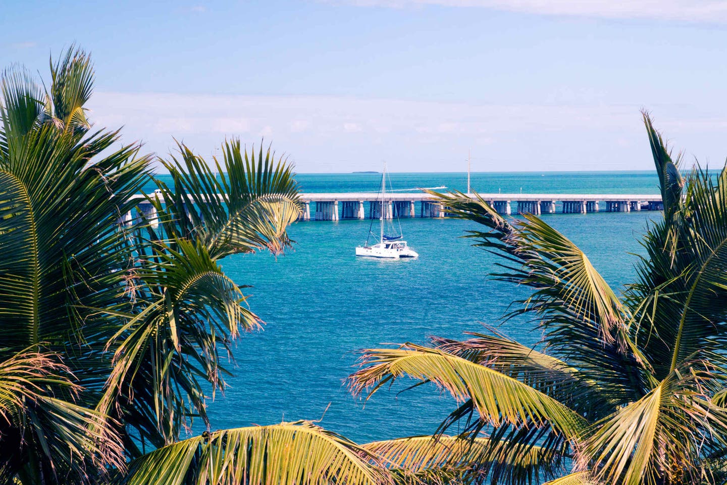 Blick durch Palmen auf einen Katamaran im türkisblauen Wasser vor einer Overseas Highway Brücke