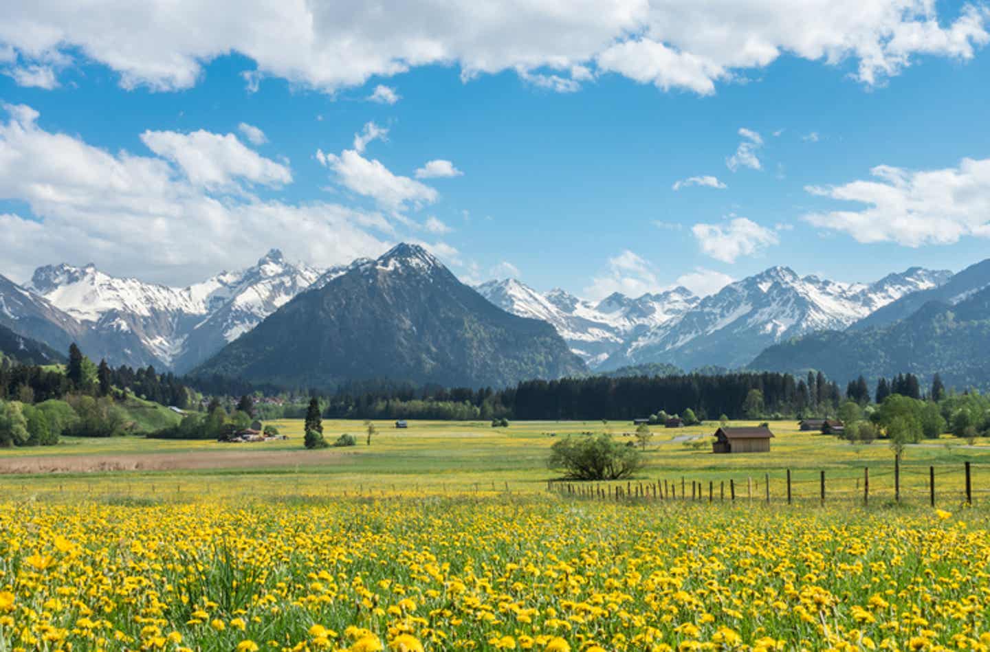 Schneebedeckte Berge im Allgäu