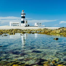 suedafrika-port-elizabeth-cape-recife-leuchtturm-g-1362073400.jpg