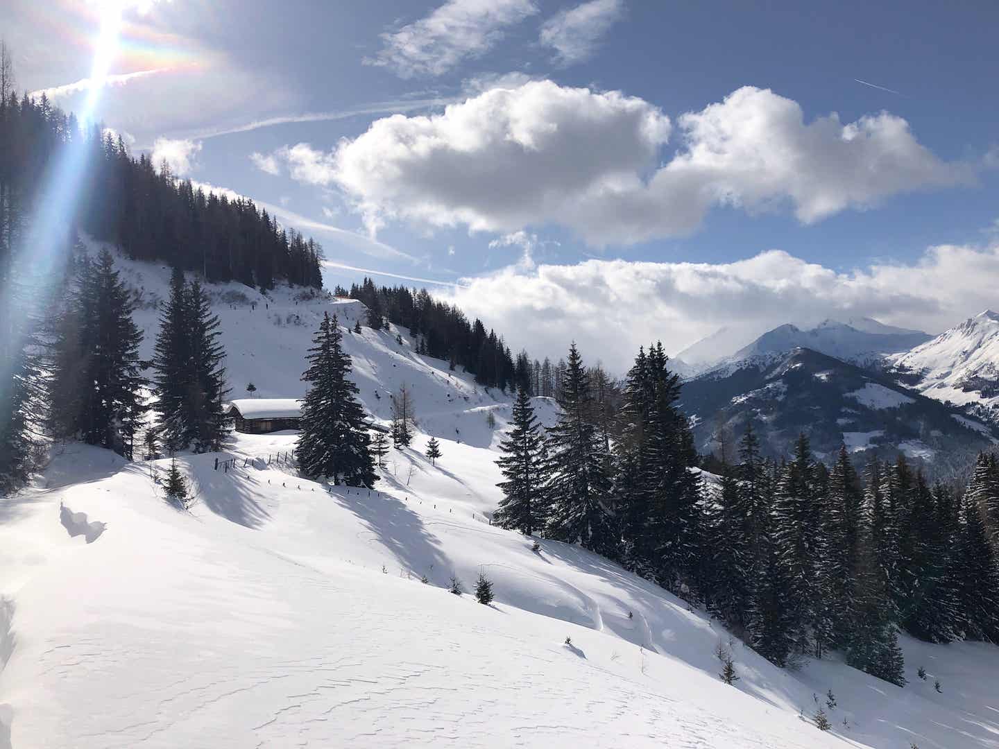 Verschneiter Hang mit Tannen im Großarltal in Ski amadé