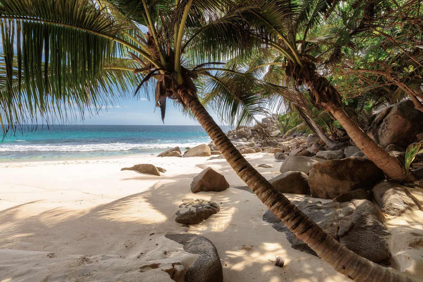 Anse Takamaka bietet viele Schattenplätze unter Palmen