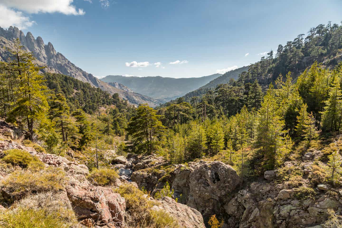 Fernwanderwege Europa: Blick vom GR-20-Wanderweg auf Korsika auf Flusslandschaft