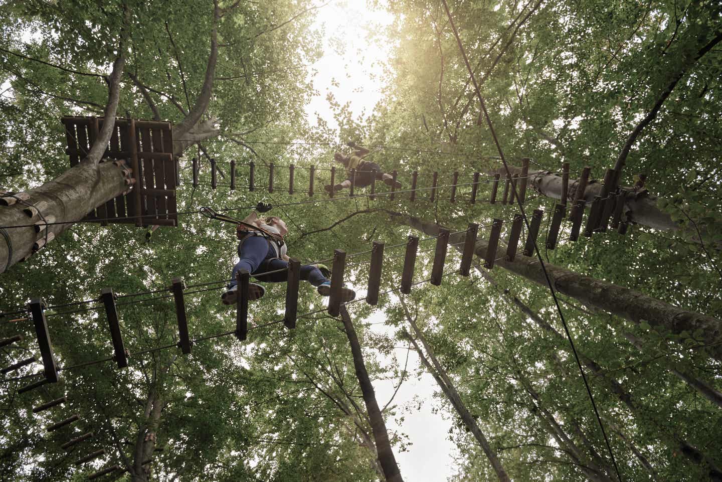 Binz Urlaub mit DERTOUR. Zwei Personen in einem Klettergarten im Wald