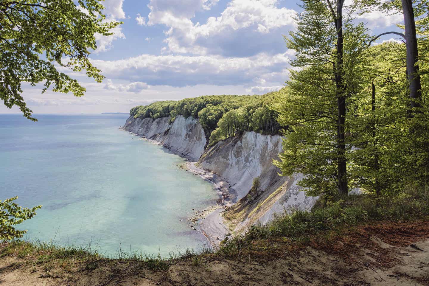 Ausblick auf die Klippen von Rügen