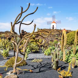 Erwachsenenhotels auf Lanzarote