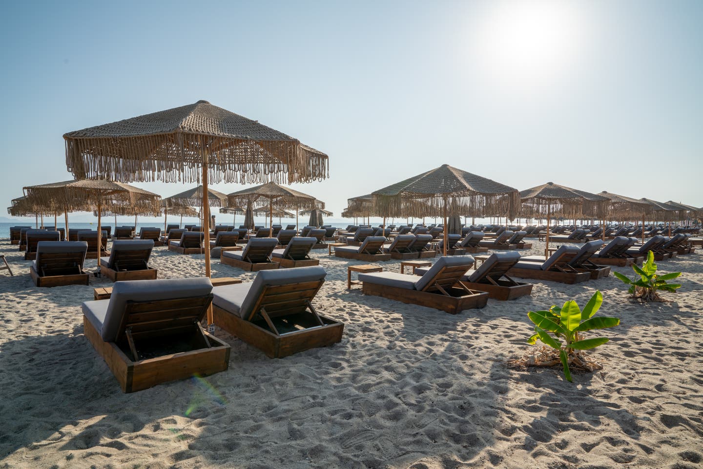 Seitlicher Blick auf Sonnenliegen und Schirme am Strand