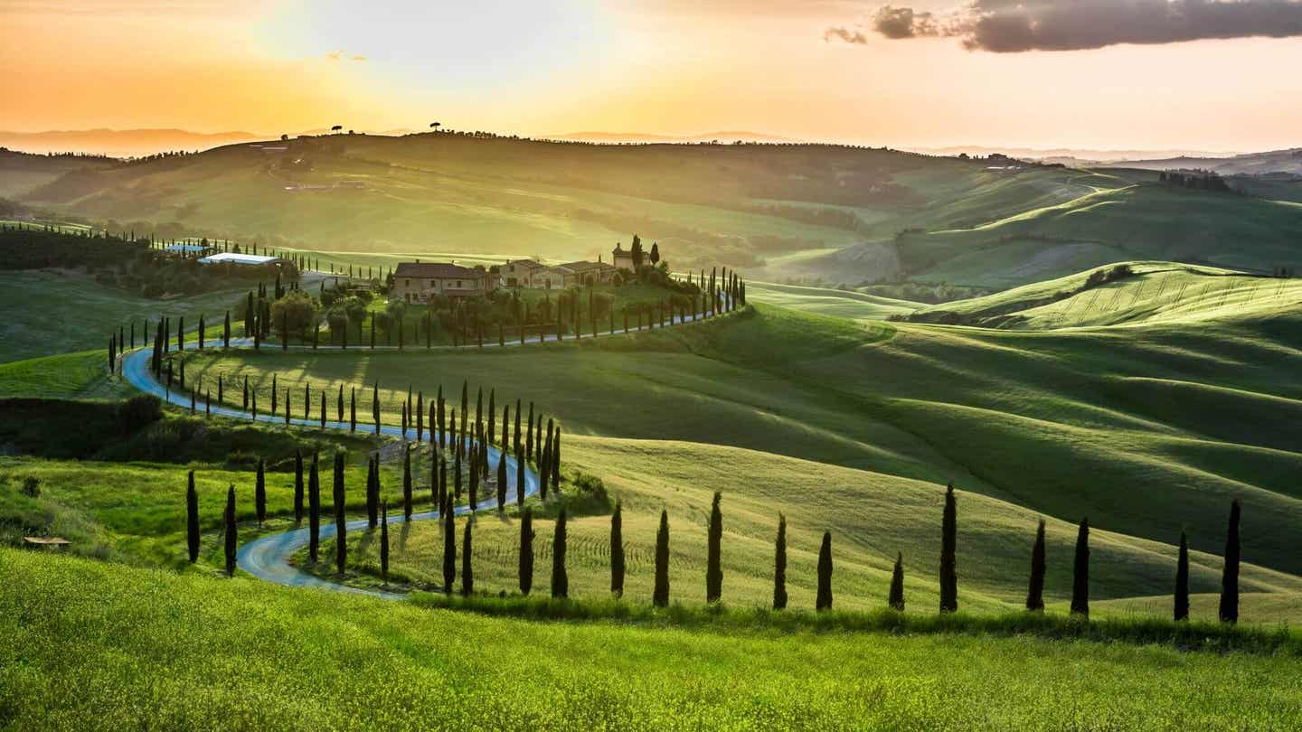 Italien-Kulinarik: die sanften Hügel der Toskana sind ideal für den Weinanbau