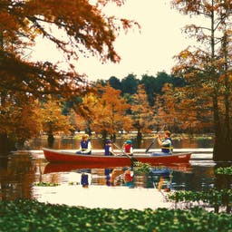 Hotel Louisiana
