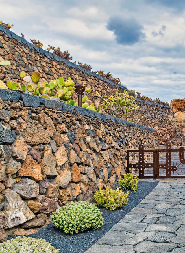 Künstler auf Lanzarote Lanzarote: Kunst & Kultur im Jardin du Cactus