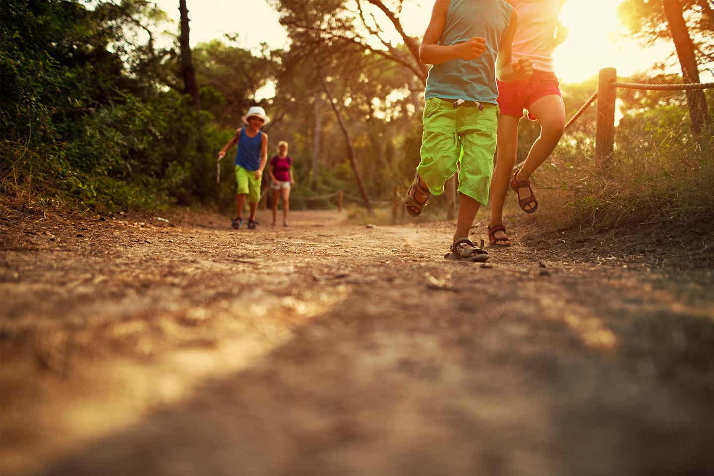 Familienurlaub Mallorca - Muro: Familie im Pinienwald