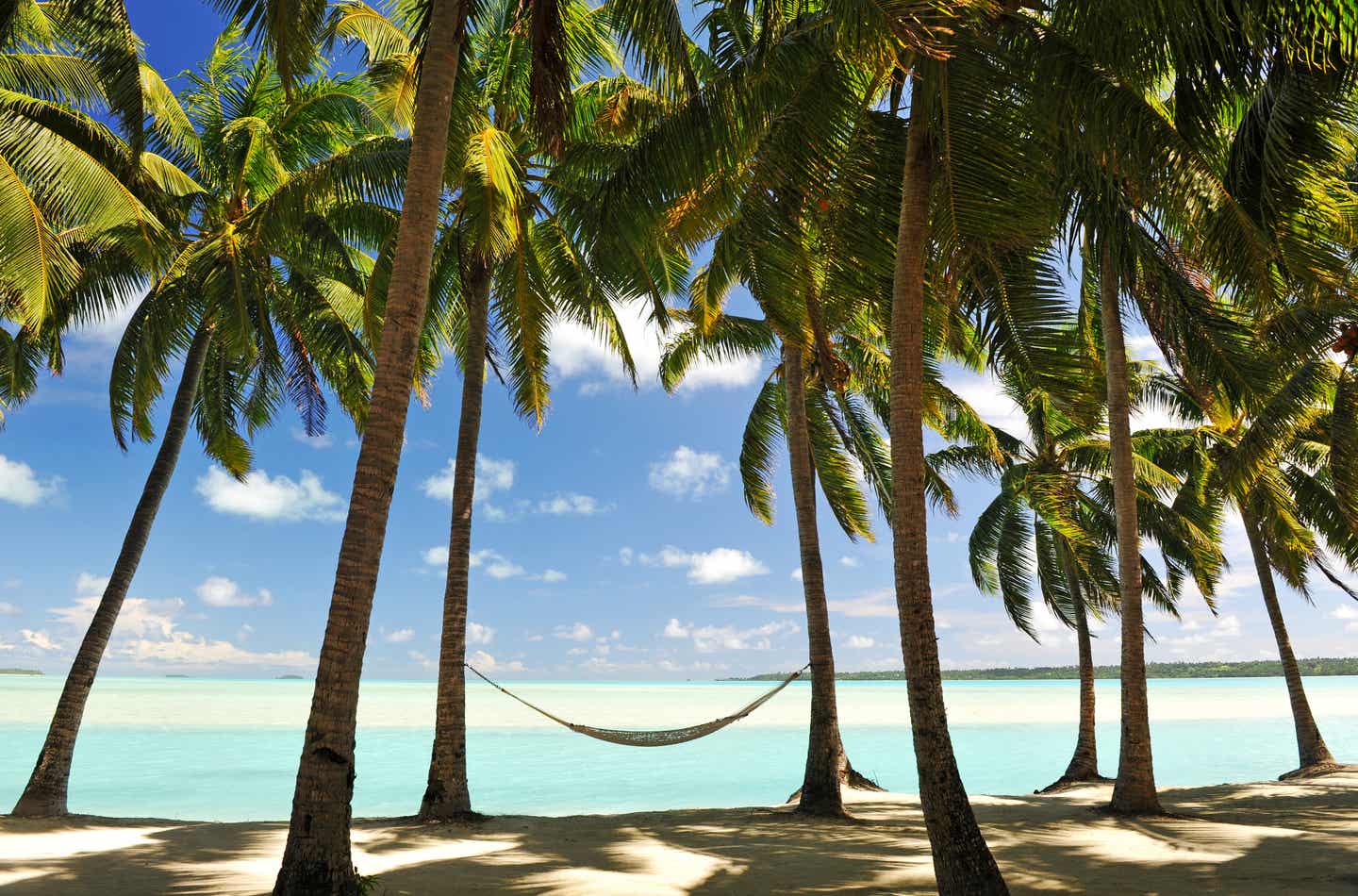 Hängematte an einem palmengesäumten Sandstrand auf Mauritius