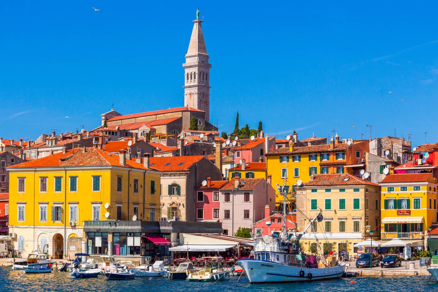 Rovinj – Stadtpanorama