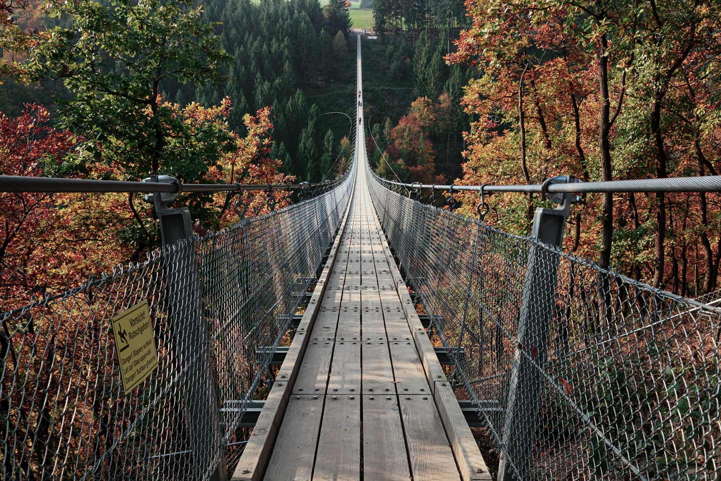 Urlaub in Rheinland-Pfalz mit DERTOUR. Blick auf die Hängeseilbrücke Geierlay über das Mörsdorfer Bachtal