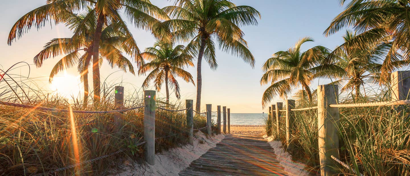 Weg zum Strand im Key West Urlaub über Holzplanken und zwischen Palmen hindurch bei Sonnenaufgang