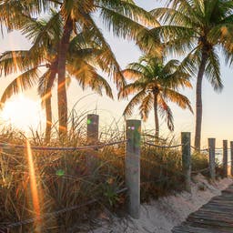 usa-florida-key-west-passage-zum-strand-bei-sonnenaufgang-g-861408794.jpg