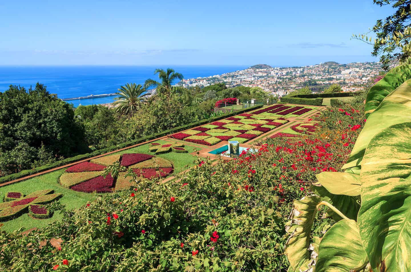 Blick auf den botanischer Garten in Madeiras Hauptstadt Funchal, im Hintergrund der blau schimmernde Atlantik