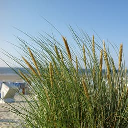 Hotel Norderney
