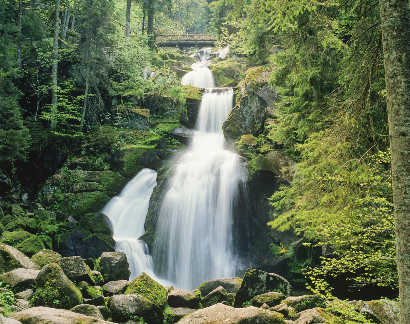 Triberger Wasserfälle im Schwarzwald – Blick auf grüne Pflanzen und eine Brücke