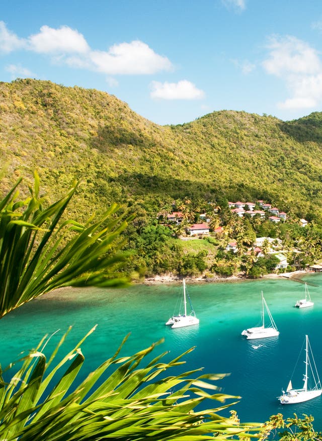 Beste Reisezeit Karibik Marigot Bay in St. Lucia: Karibik bei bestem Wetter
