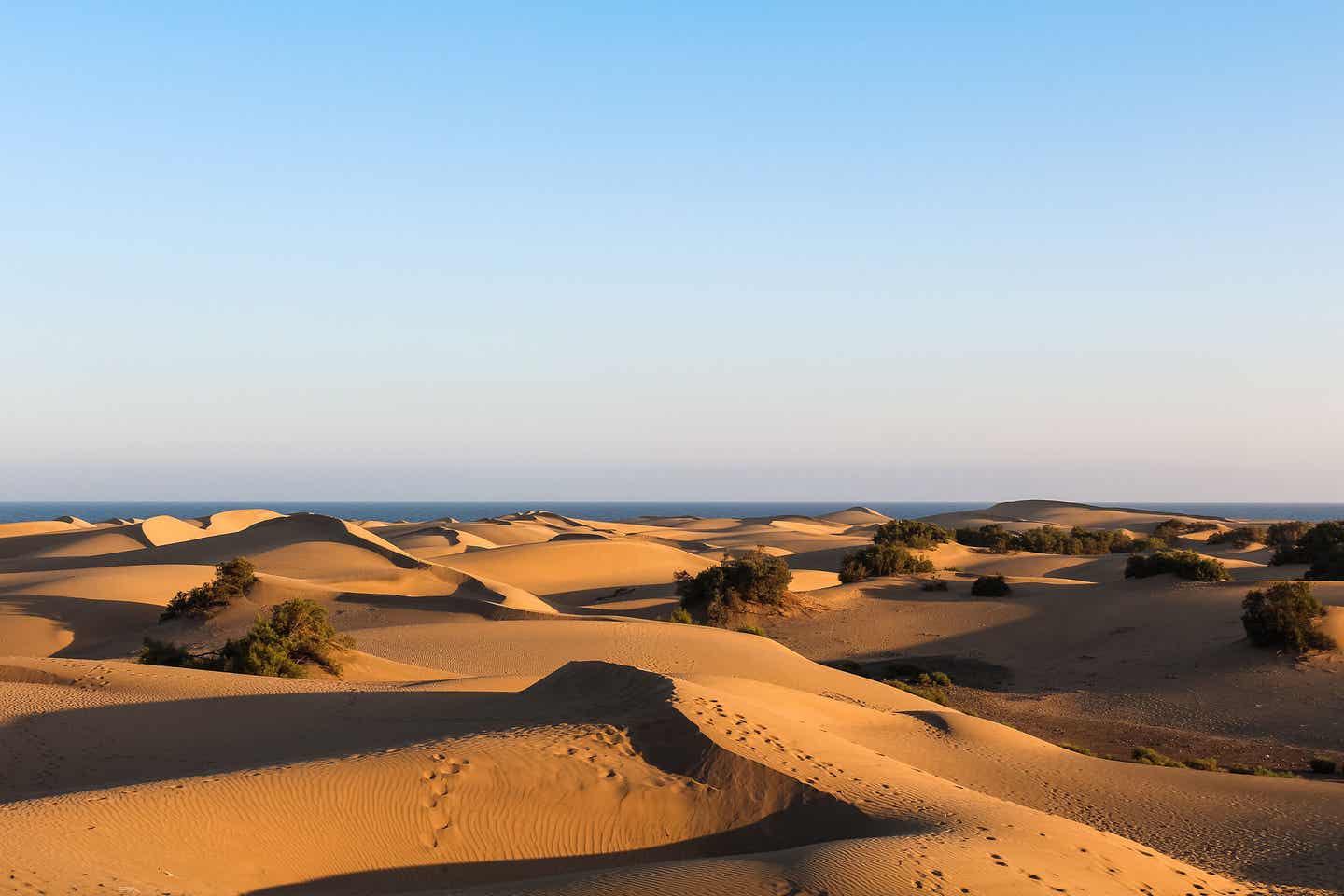 Kanaren: Gran Canaria Maspalomas Sandduenen