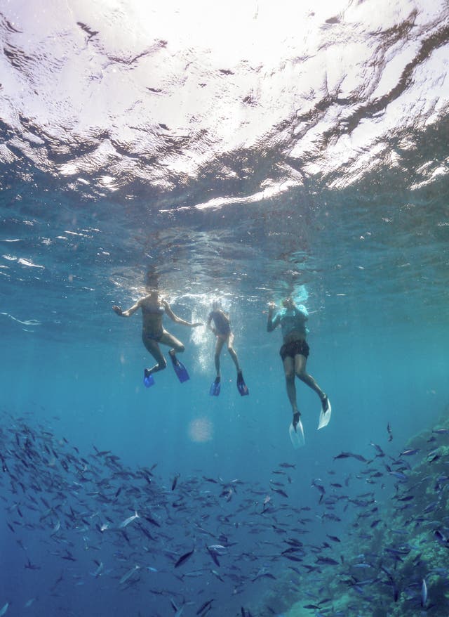 Schnorcheln in Ägypten Familie schnorchelt im Roten Meer