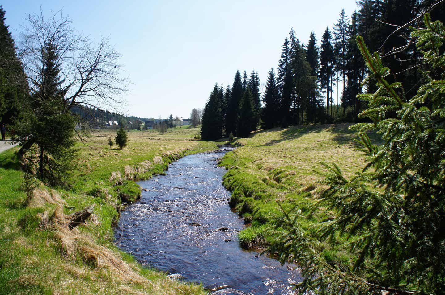 Wandern im Erzgebirge: Wellness und Natur
