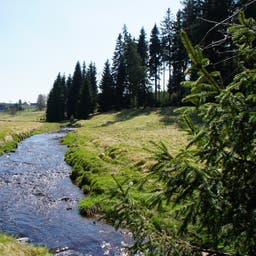 Erzgebirge Wellnesshotels