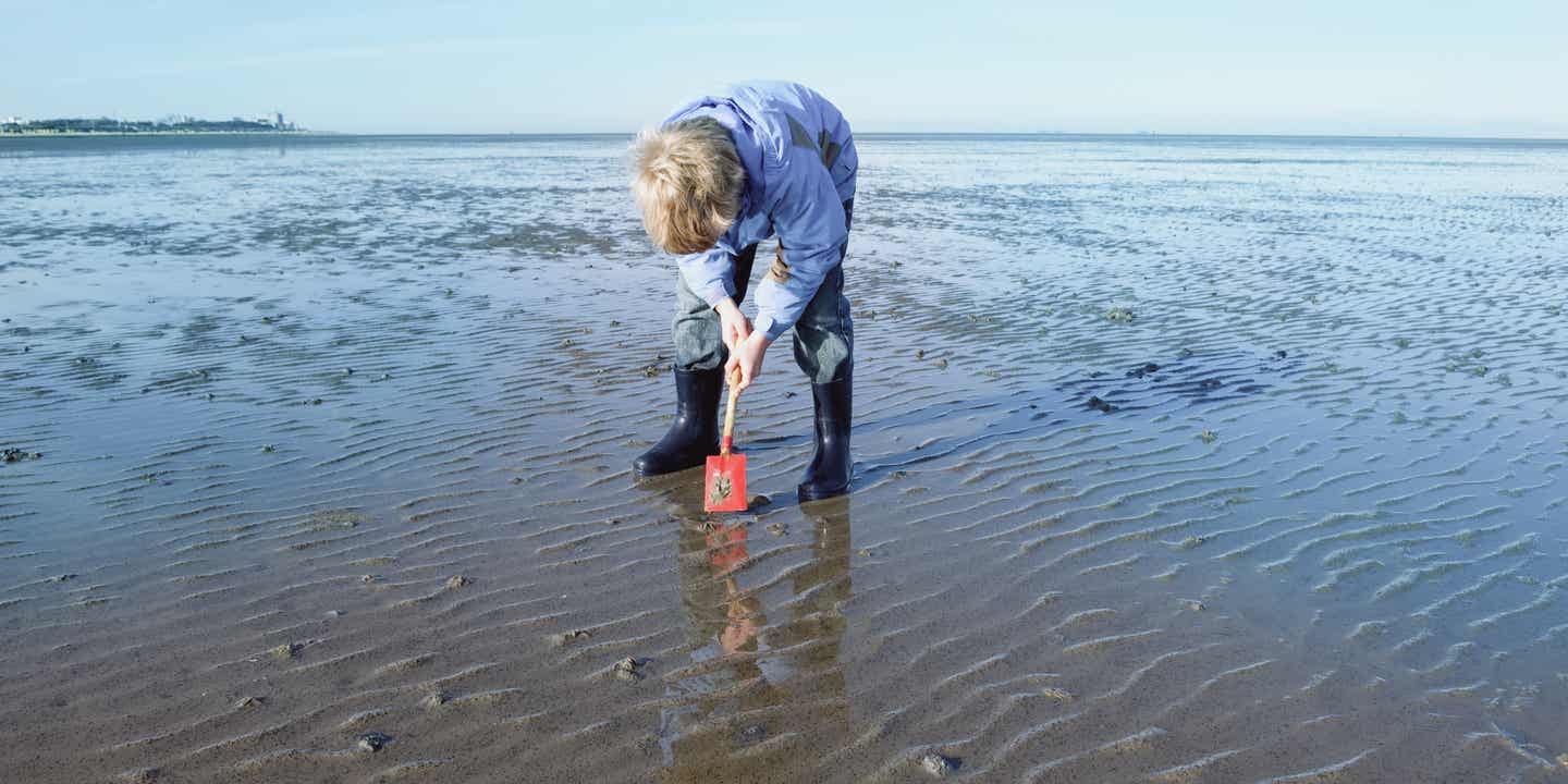 Familienurlaub Deutschland: Junge mit Schippe auf einer Wattwanderung in der Nordsee