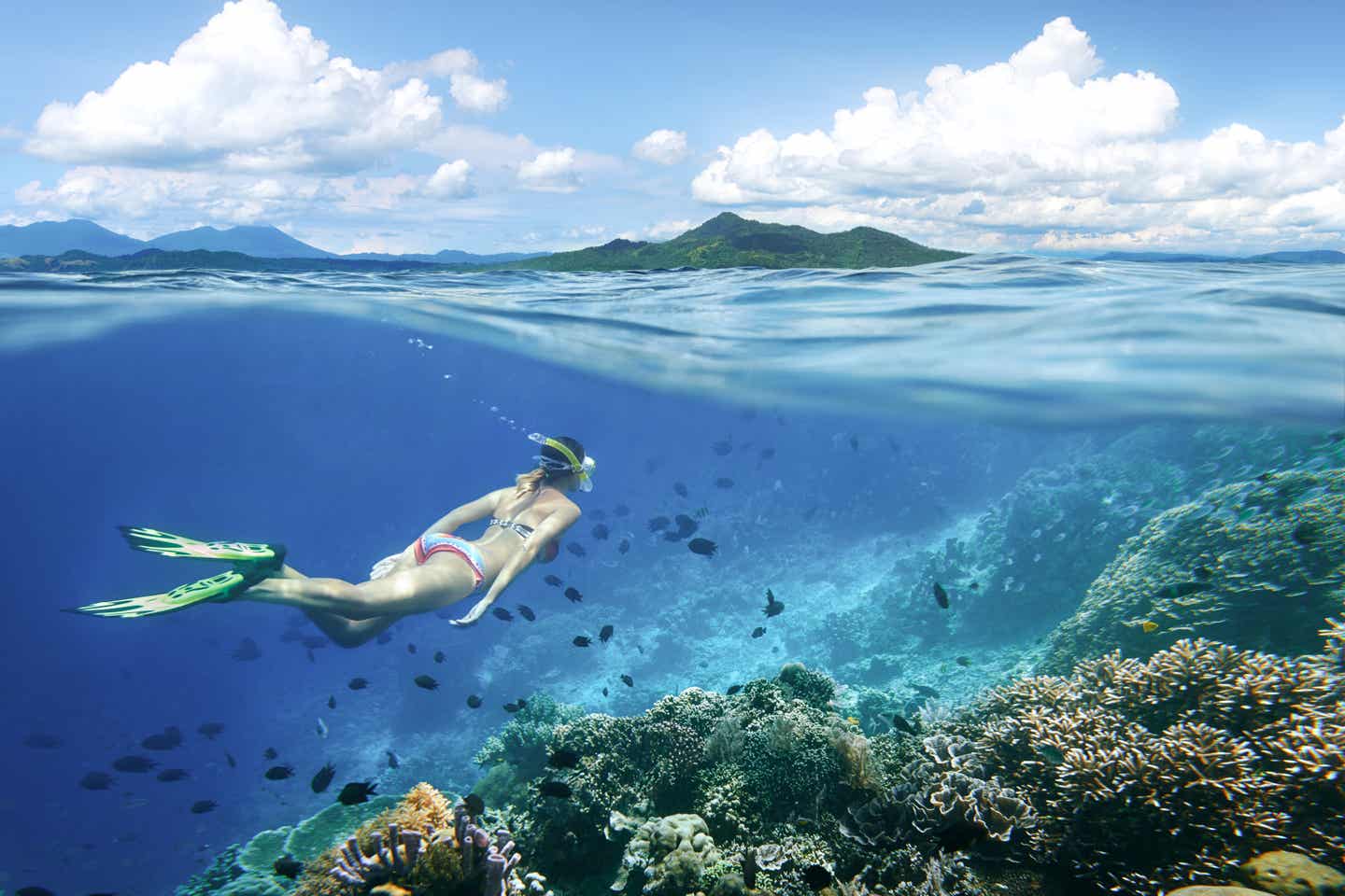 Tauchen vor Indonesiens Küste: Korallenriff entdecken