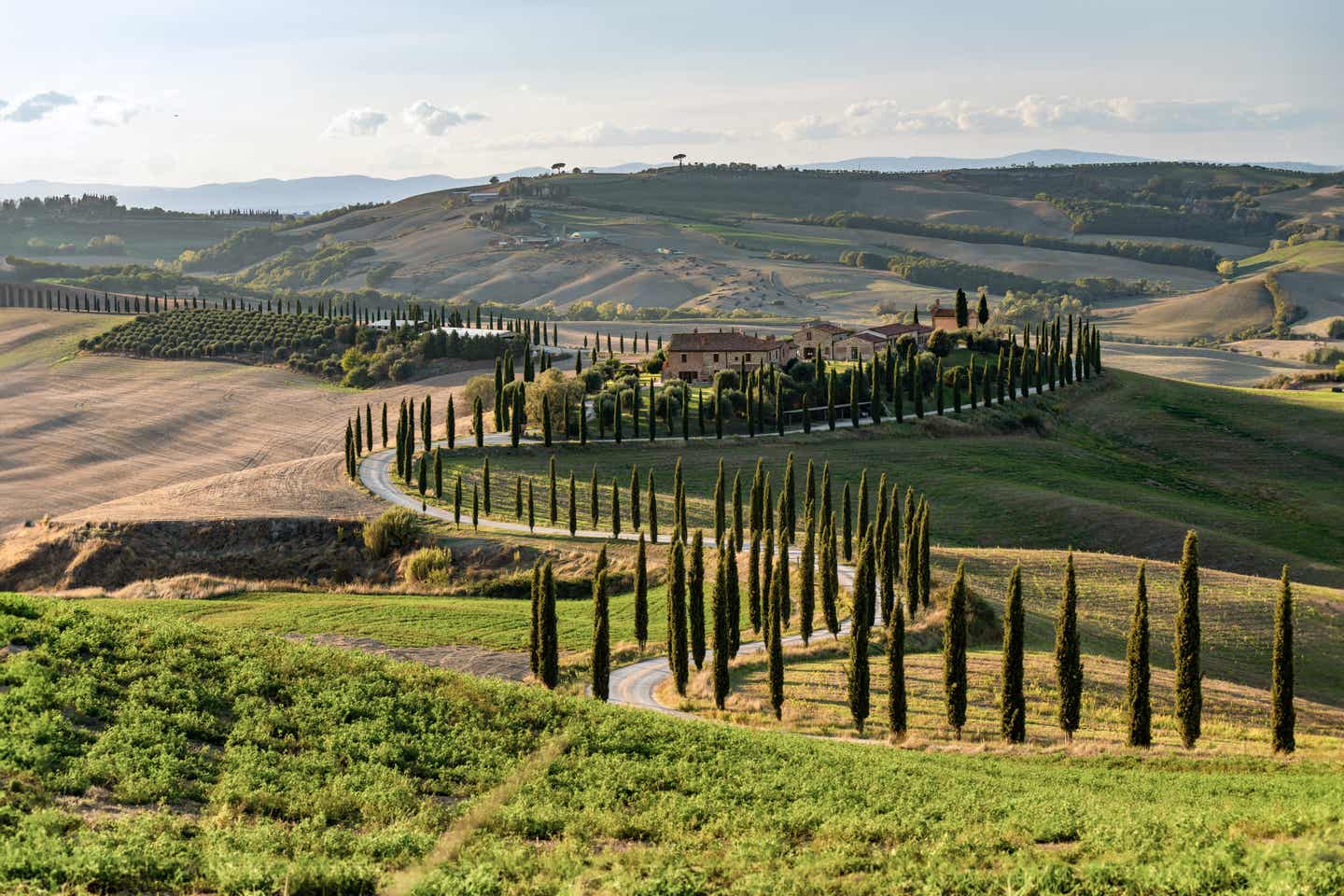 Zypressengesäumter Weg zu einem Anwesen in der Toskana, Italien