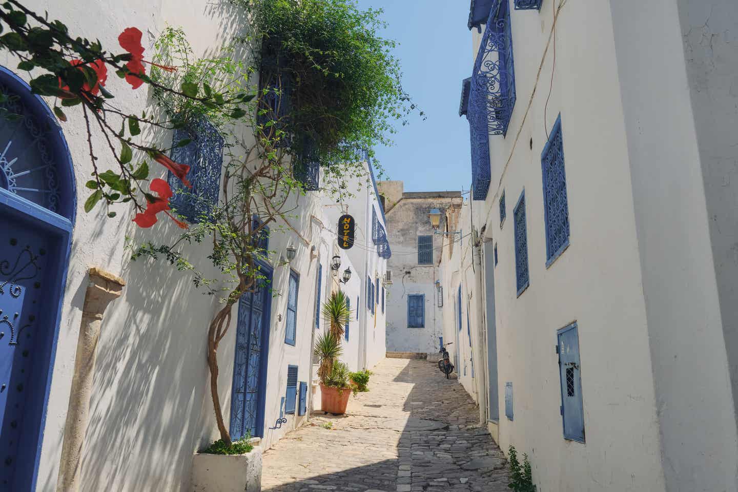 Haus mit arabischen Fenstern und Türen mit blauen Ornamenten, Hammamet in Tunesien