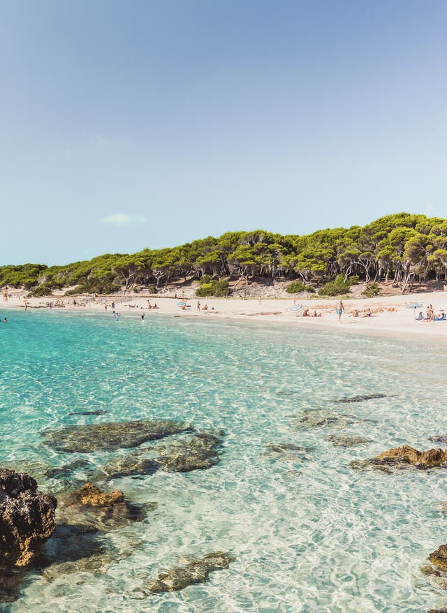Reisetrends Sommer 2023 Das DERTOUR Reisebarometer Sommer 2023
