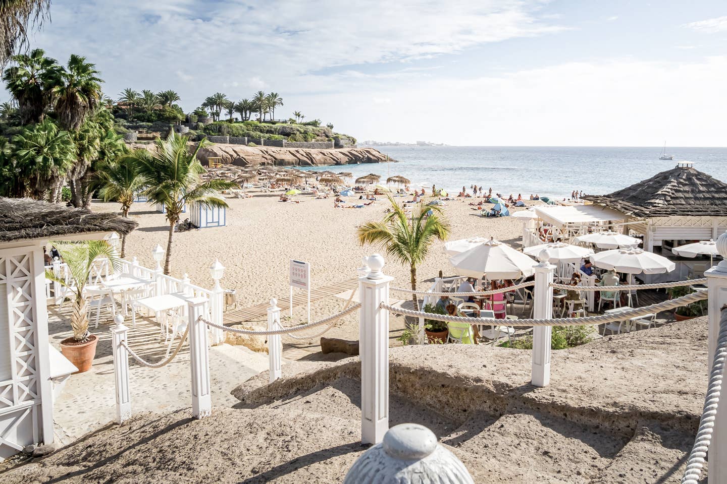 Costa Adeje Urlaub mit DERTOUR. Playa del Duque mit Palmen