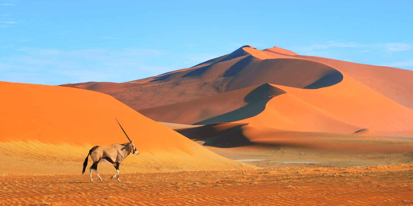 Blick auf eine Onyx-Antilope in der namibischen Wüste