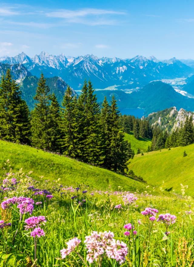Hotel im Allgäu buchen Tegelberg im Allgäu, Bayern