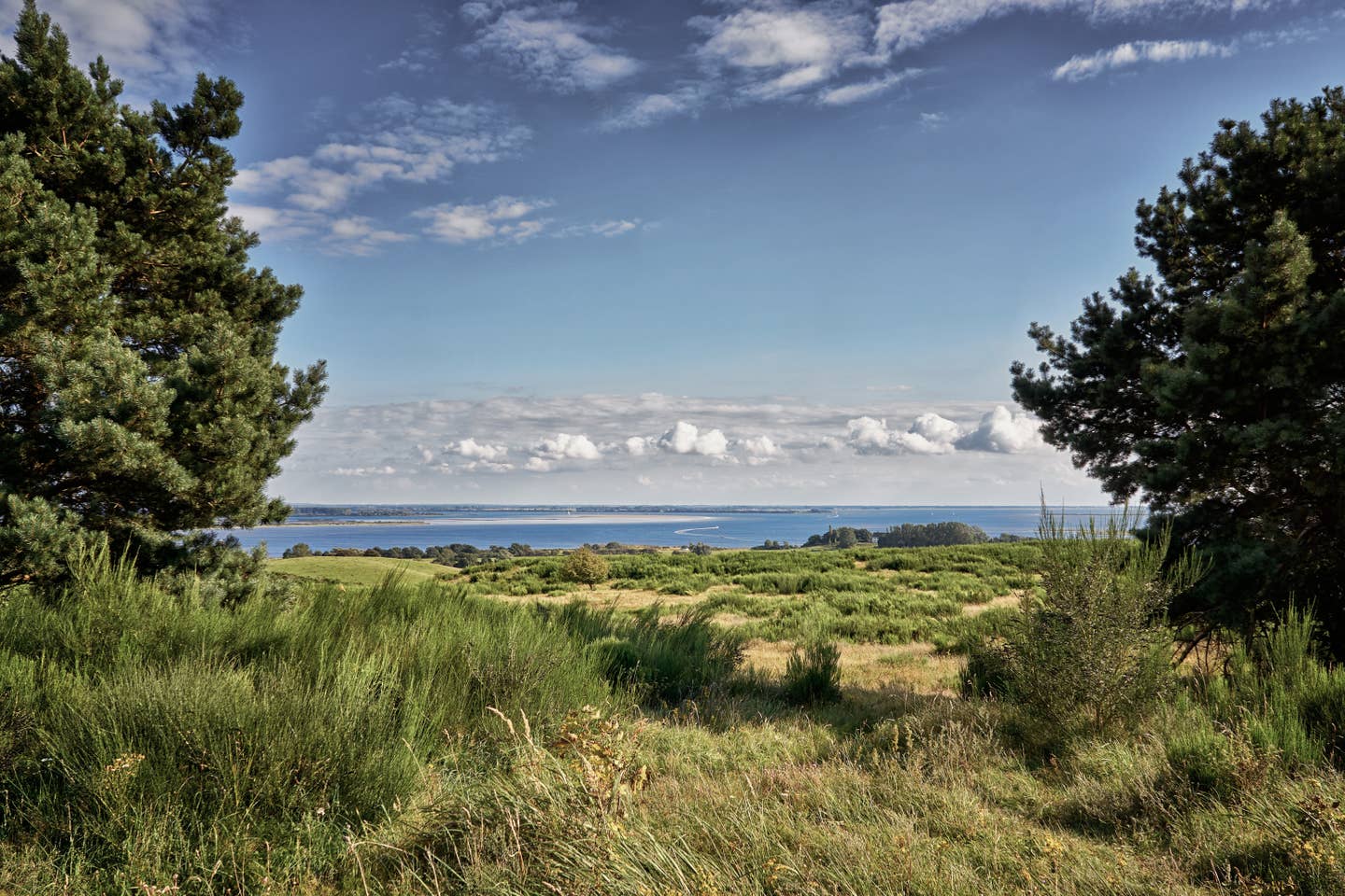 Mecklenburg Vorpommern Urlaub mit DERTOUR. Küstenlandschaft auf Hiddensee mit Ostsee im Hintergrund