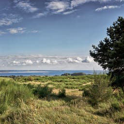 deutschland-mecklenburg-vorpommern-hiddensee-landschaft-ostsee-g-1059225856.jpg