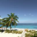 bahamas-strand-mit-palmen-klein-g-496970329.jpg