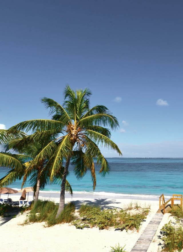 Bahamas Urlaub Bahamas – Traumstrand
