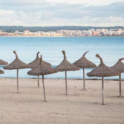 spanien-mallorca-can-pastilla-strand-sonnenschirme-g-521320905.jpg