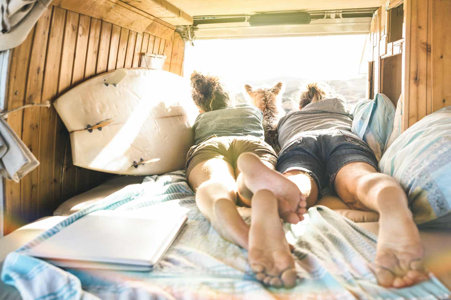 Unterwegs mit Hund im Camper