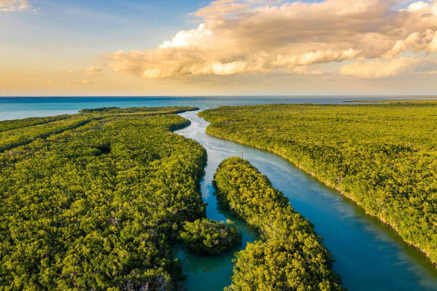 Florida Urlaub: Everglades Nationalpark von oben