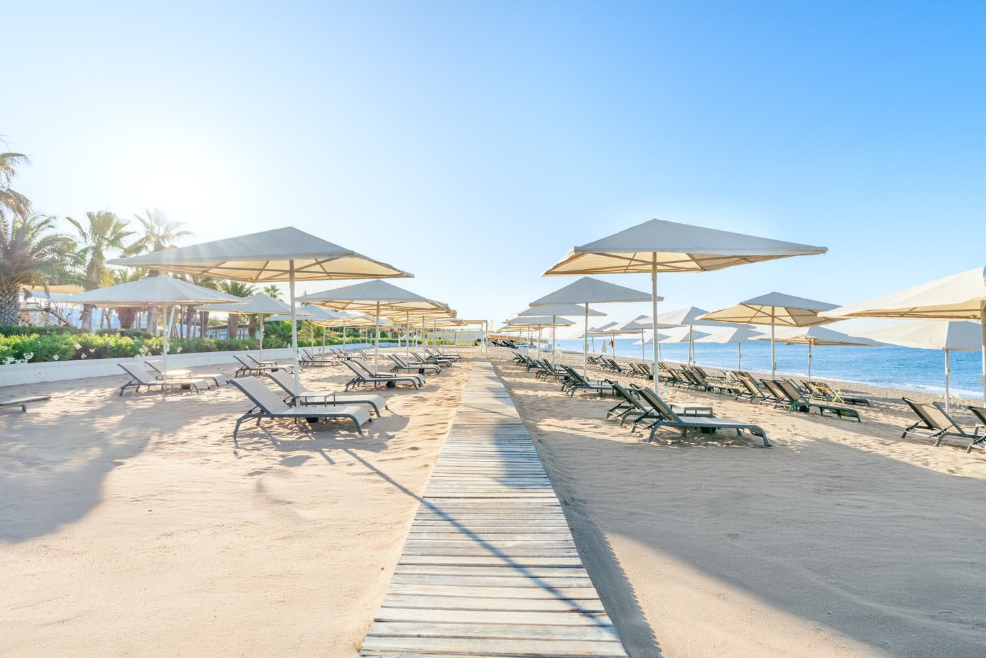 Liegen und Schirme am Hotelstrand