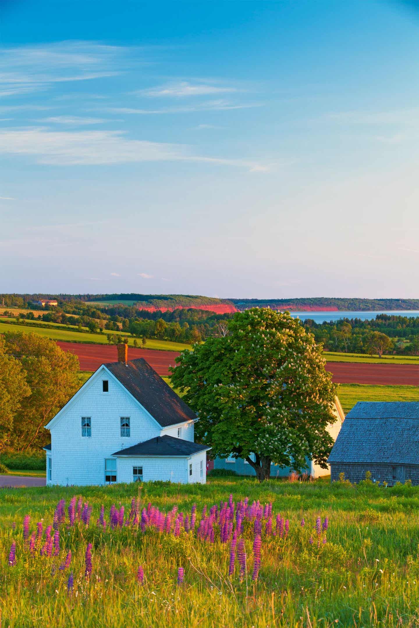 Haus in Atlantic Canada 