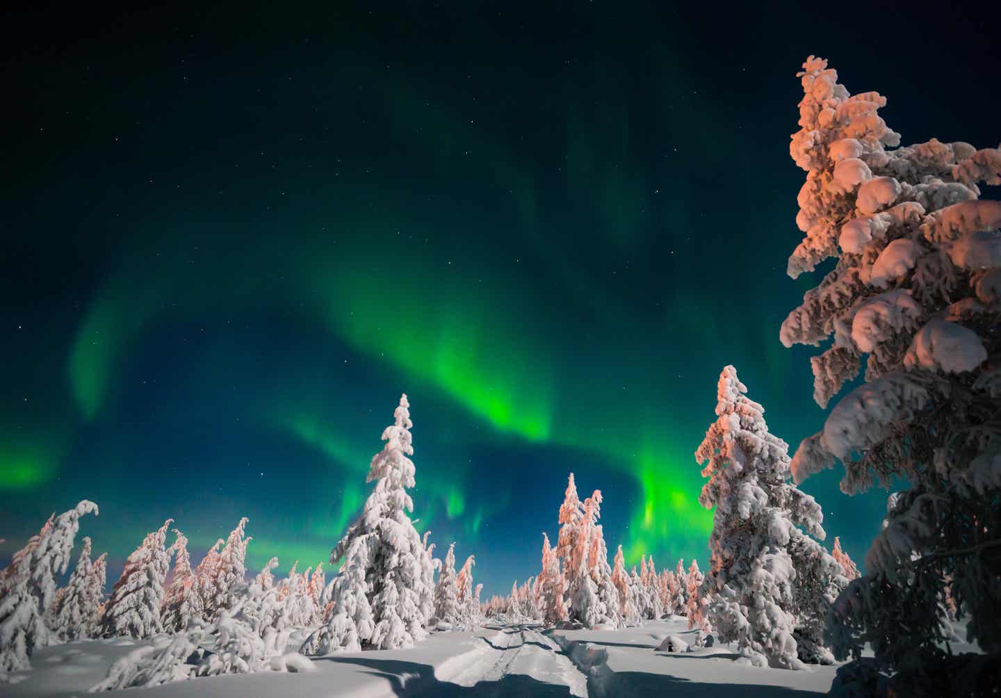 Polarlichter in Lappland