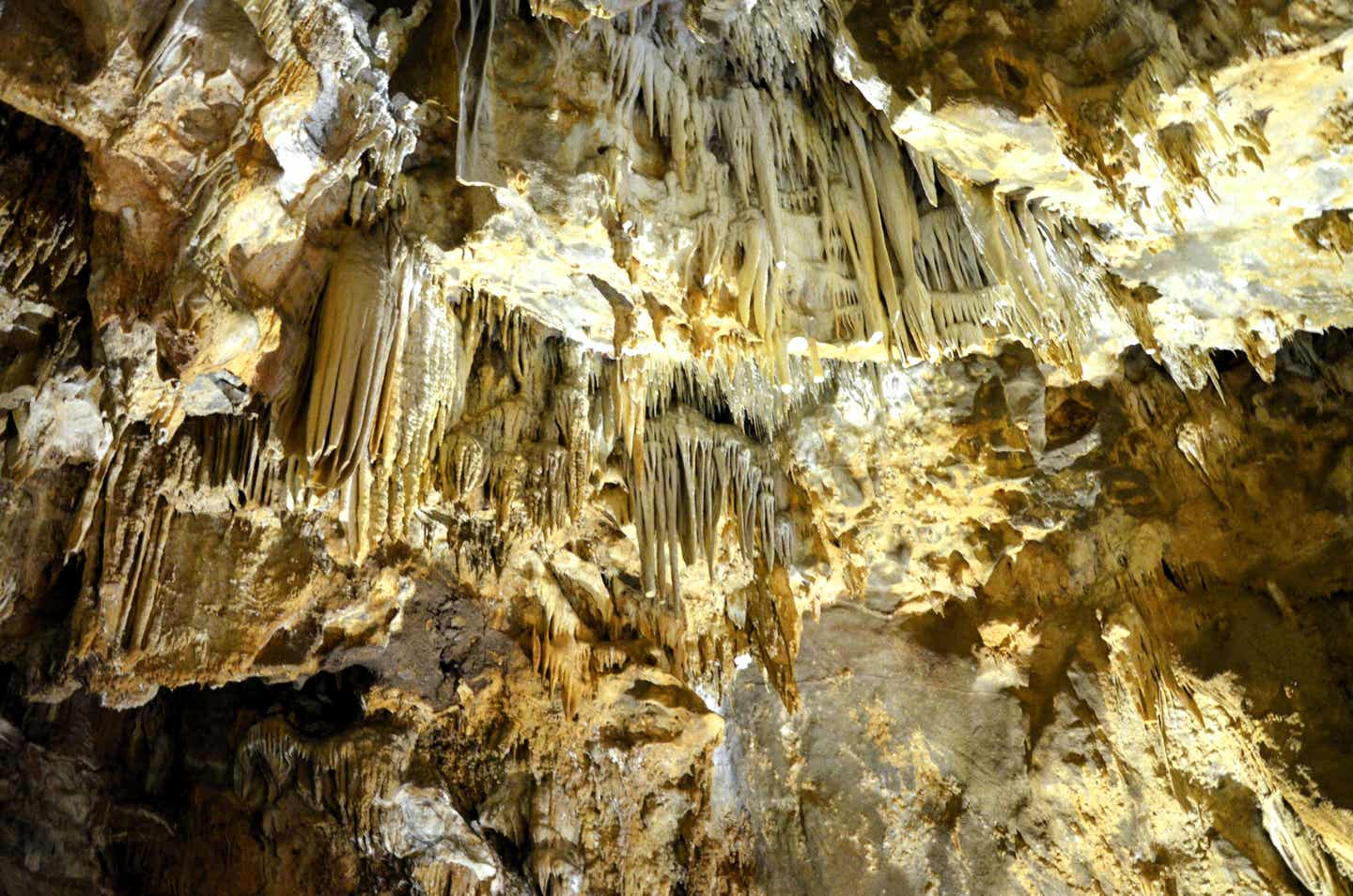 Stalaktiten und Stalagmiten